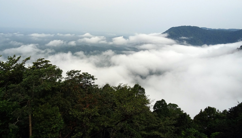 Agumbe-Rain-Forest-tours