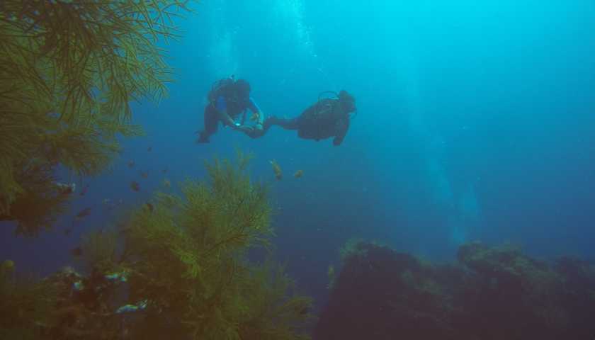 Andaman Scuba Diving Tour For Beginners With Sightseeing
