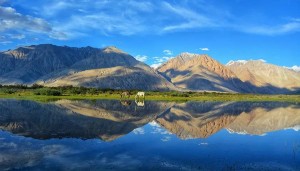 Leh Ladakh Tour Package