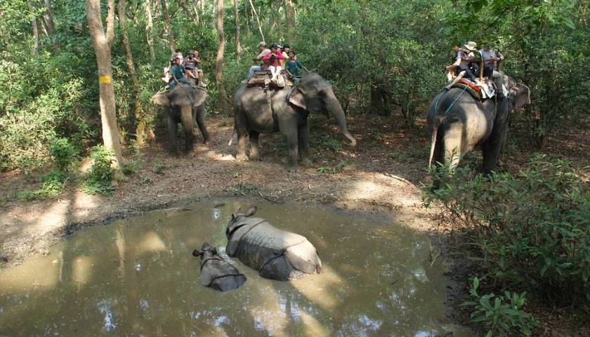 Kathmandu Chitwan Tour Package - 6 Day Tour from Kathmandu