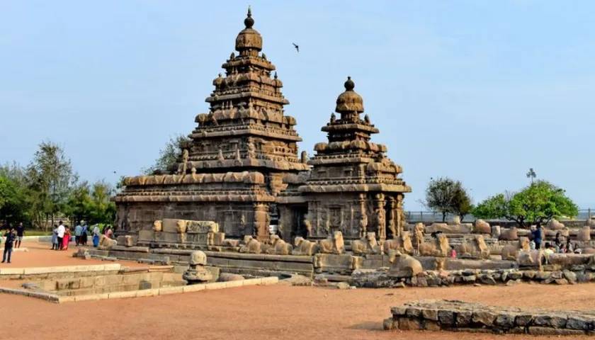 Taj Tigers and Temples of Tamil Nadu Tour