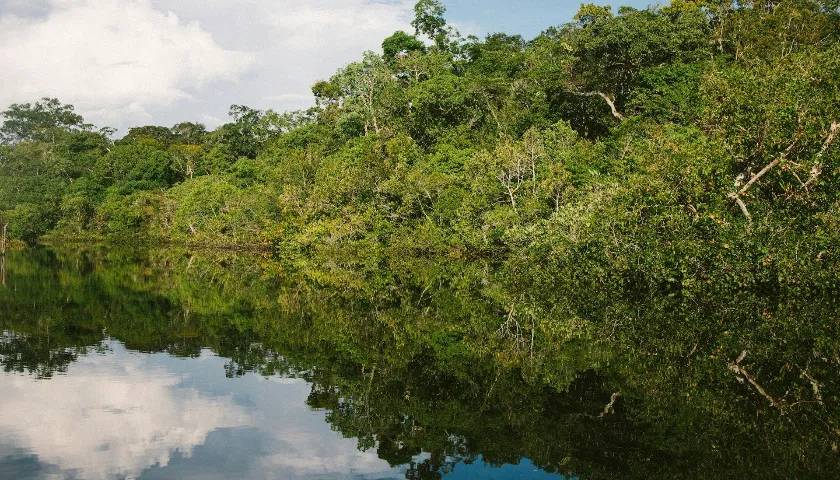 amazon-rainforest-expedition