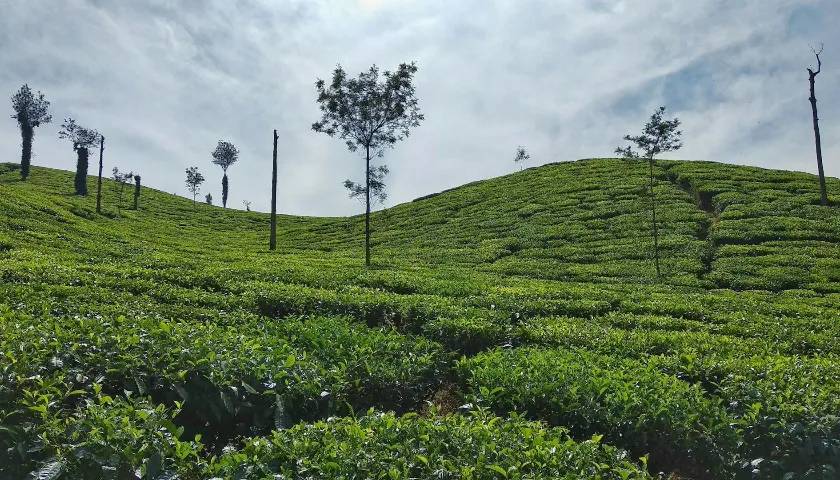 Chikmagalur