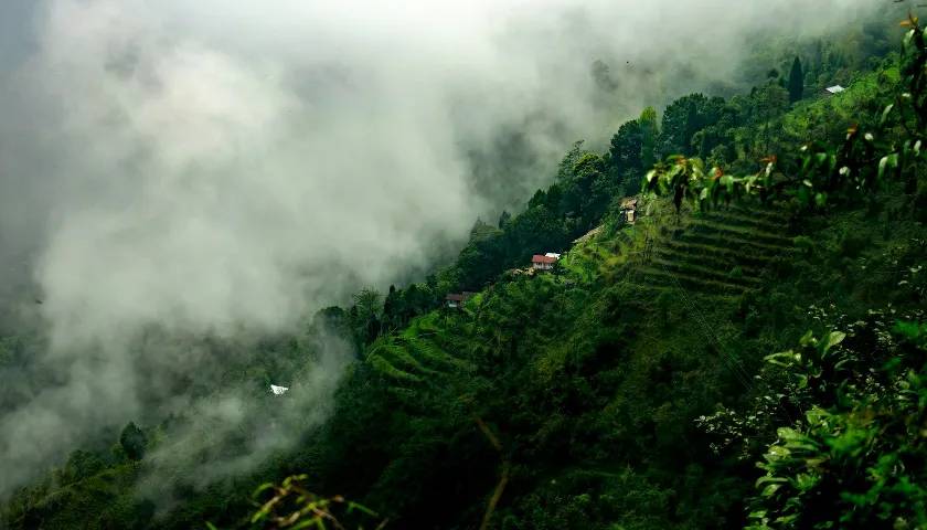 darjeeling-tour-packages