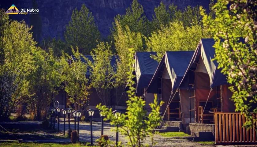 De Nubra Camp, Hunder