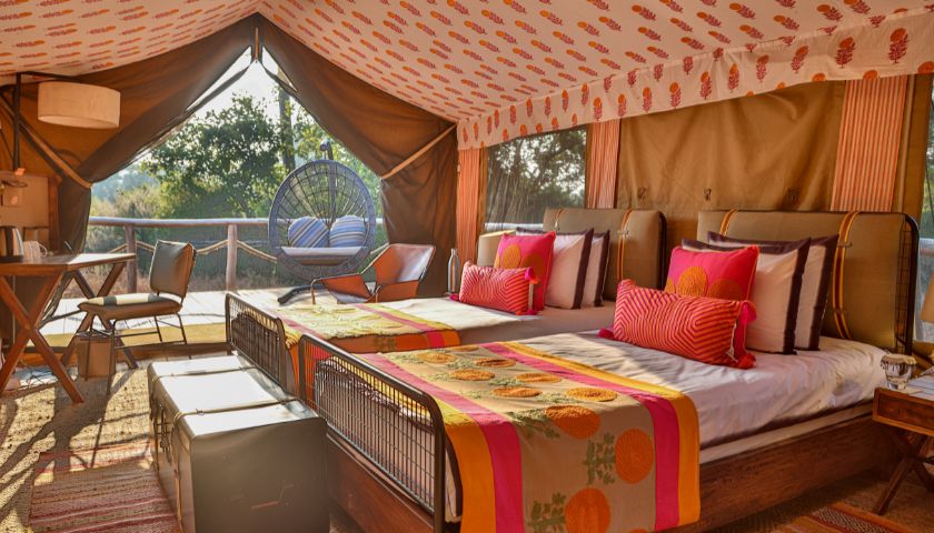 Executive Suite Twin Interior the Untamed Bandhavgarh