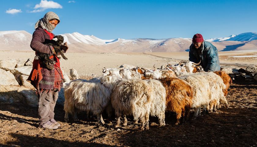 Grand Heritage and Adventure Tour of North India - 33 Day Tour from New Delhi