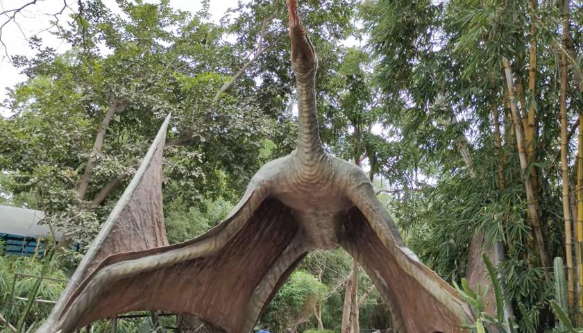 Birding and Wildlife Trails of Gujarat - 14 Day Tour from Ahmedabad