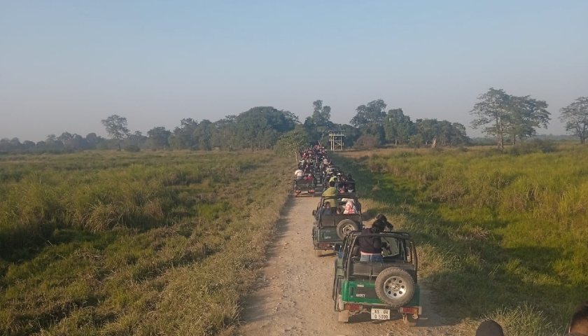 Bandhavgarh Kanha Kaziranga Tour Package - 11 Day Tour from New Delhi
