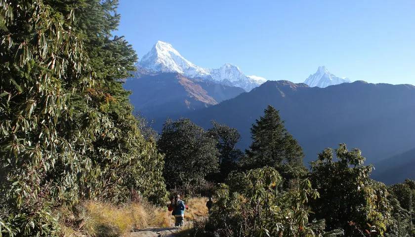 Langtang Valley Trek Nepal - 11 Day Tour from Kathmandu