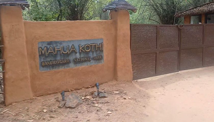 Mahua Kothi, Bandhavgarh: A Taj Safari Lodge That Feels Like Living Inside the Forest