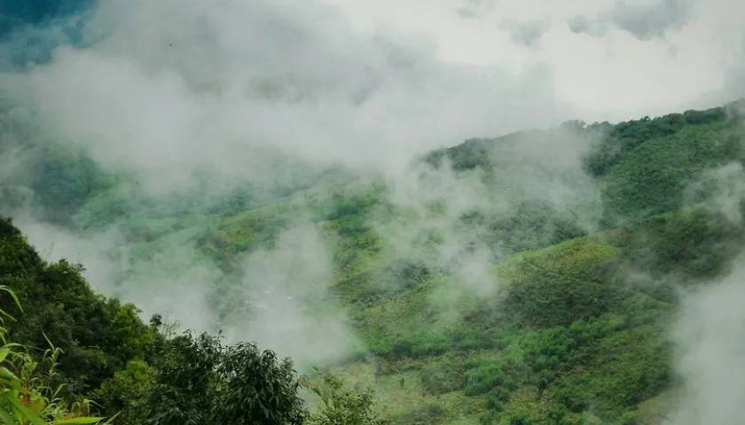 Guwahati Shillong Kaziranga Tour Package - 8 Day Tour from Guwahati