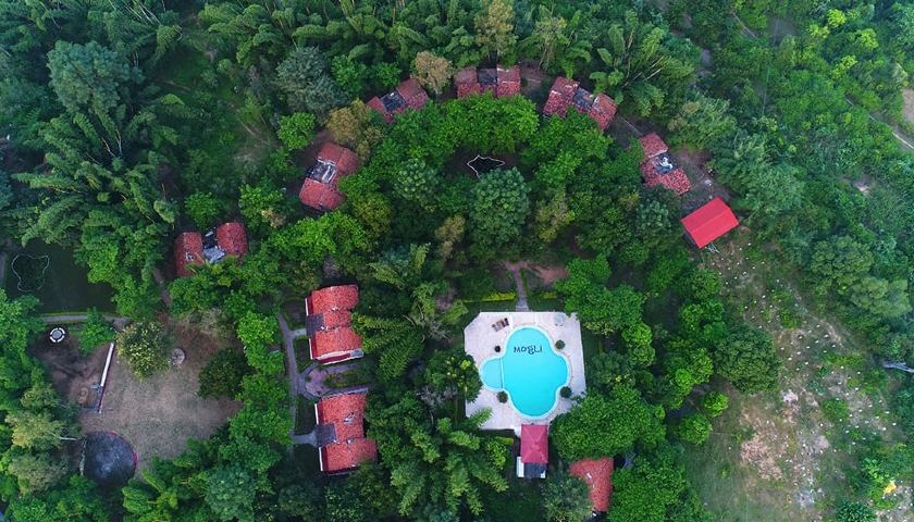 Mogli Jungle Resort, Bandhavgarh