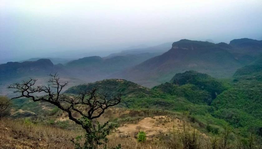blog image