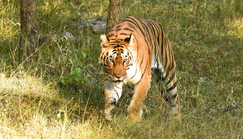 blog image