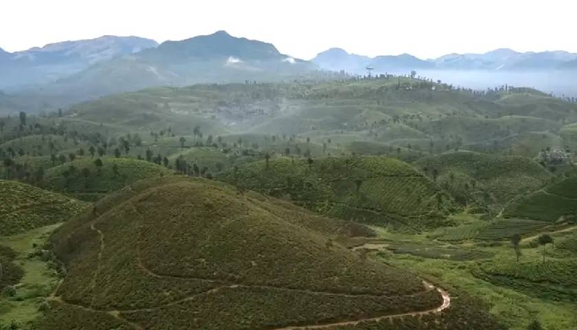 Pollachi, Tamil Nadu