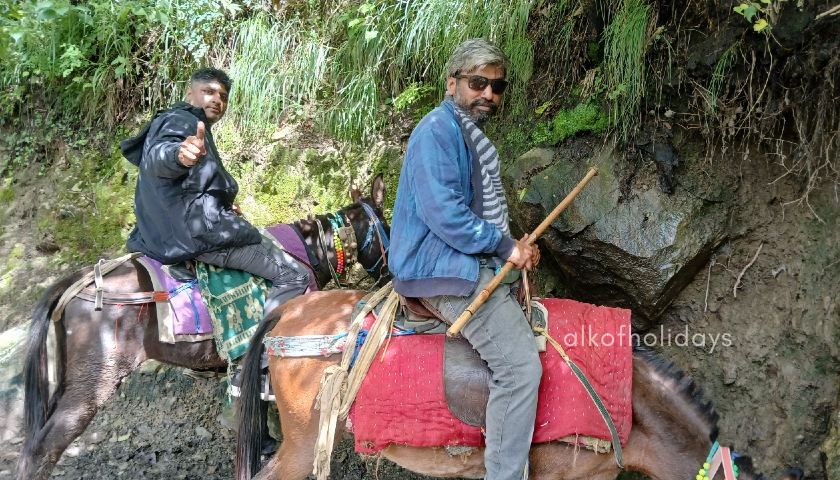 Pony ride from Govind Ghat to Ghangaria