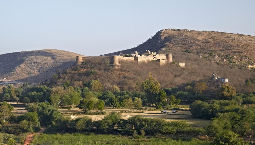 Luxury Golden Triangle Tour and Wildlife Adventure - 11 Day Tour from New Delhi