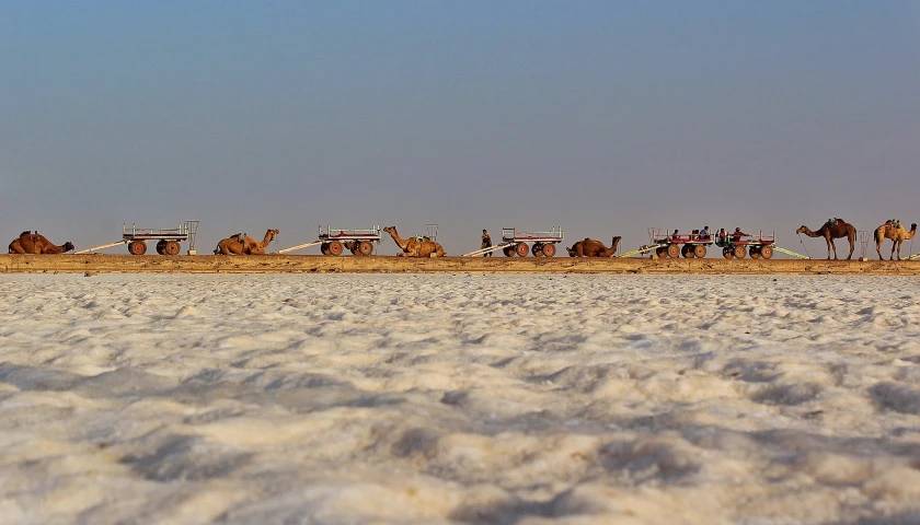 rann-of-kutch
