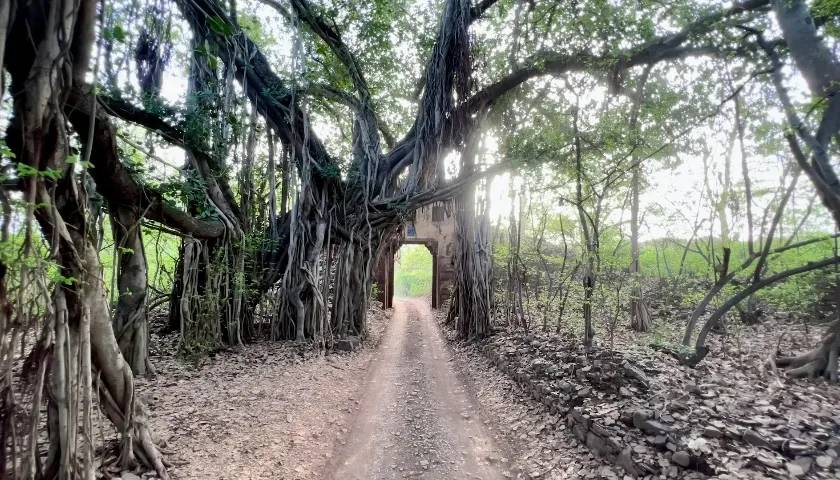 Ranthambore Tiger Reserve