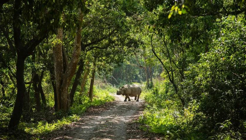 India Nepal Adventure: 2 Countries in 14 Days
