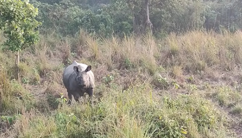 North India Wildlife Tour