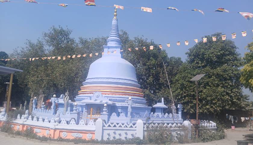 blog image