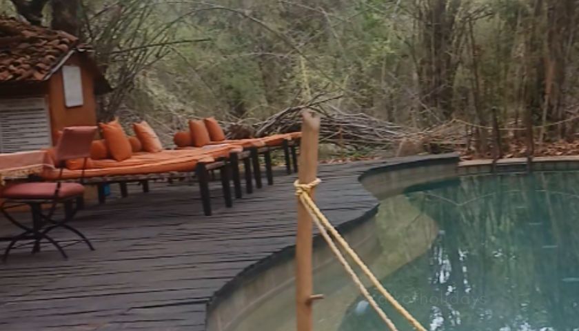 Swimming Pool at Mahua Kothi, A Taj Safari, Bandhavgarh