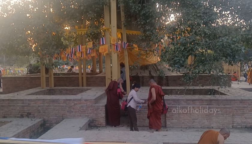 Best Time to Visit the Buddhist Circuit Across India and Nepal