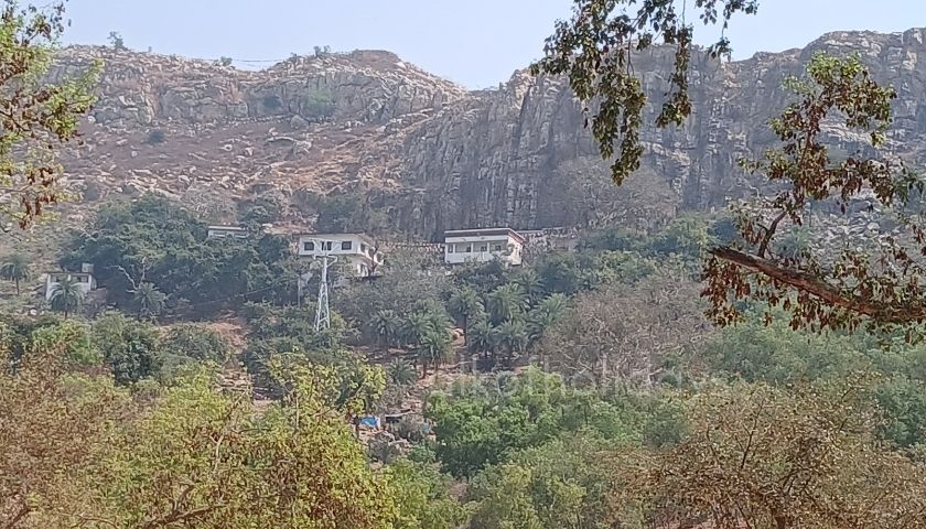 blog image