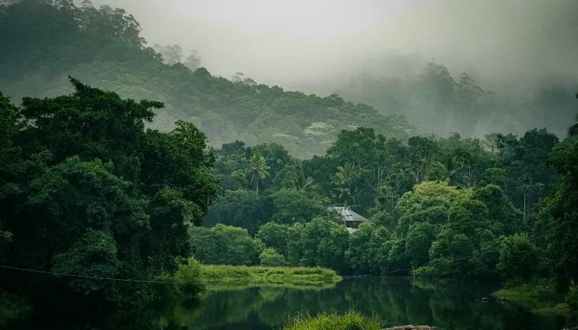 Kerala Backwaters with Wildlife Tour Package - 5 Day Tour from Kochi
