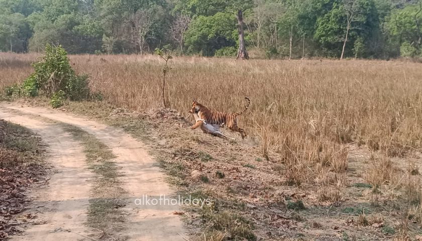 Mumbai Ranthambore Corbett Tour Package - 14 Day Tour from Mumbai