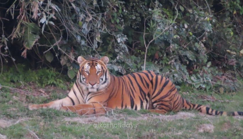 Places to visit in Kaziranga National Park