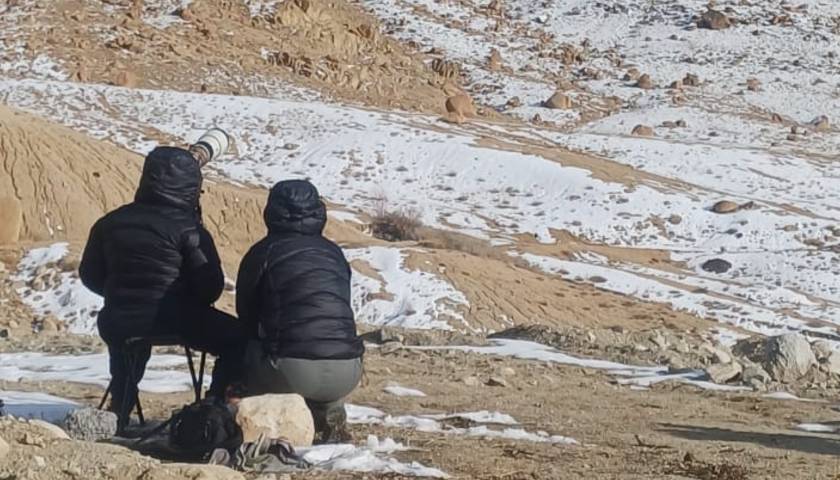 Ladakh Snow Leopard Trekking Tour - 8 Day Tour from Leh