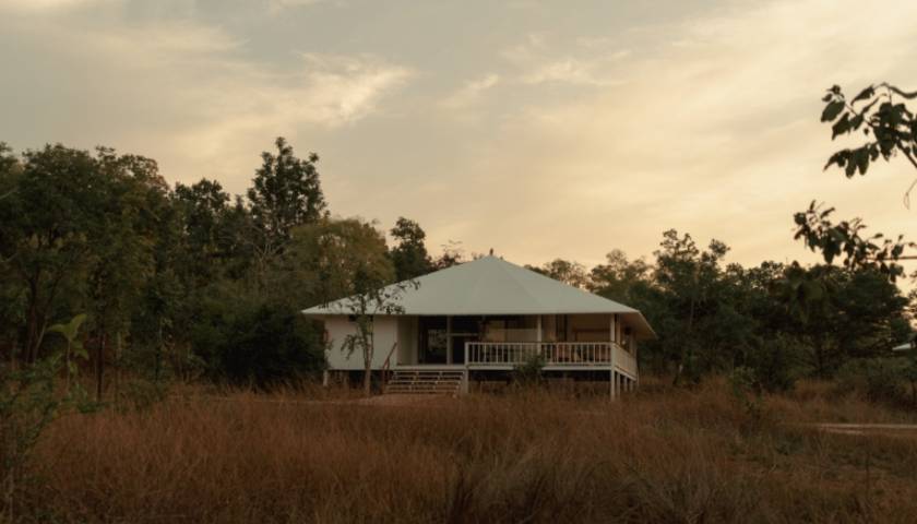 Tree of Life Ramvilas Bandhavgarh