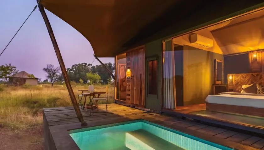 trees-n-tigers-safari-lodge-tadoba