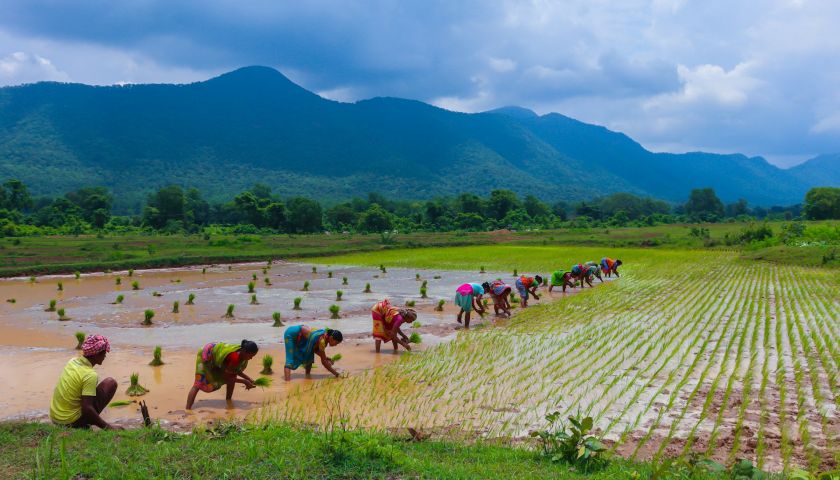 Odisha Tribal Tour - 10 Day Tour from Bhubaneswar