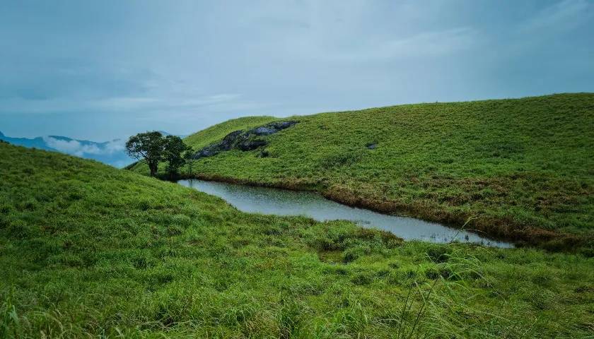 Wayanad, Kerala