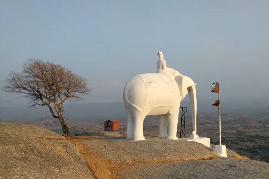Elephant Hill 