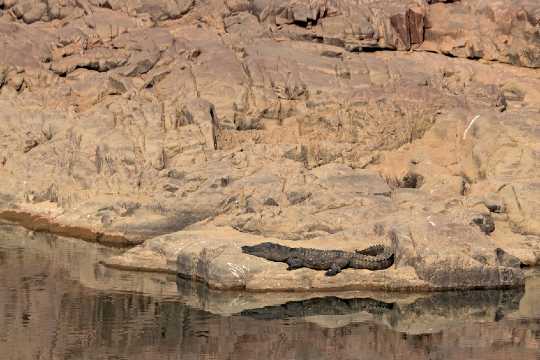 The Ken Crocodile Sanctuary