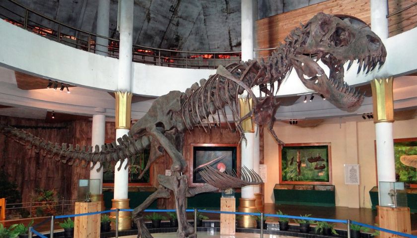Dino Discoveries: Exploring Dinosaur Fossil Sites in India