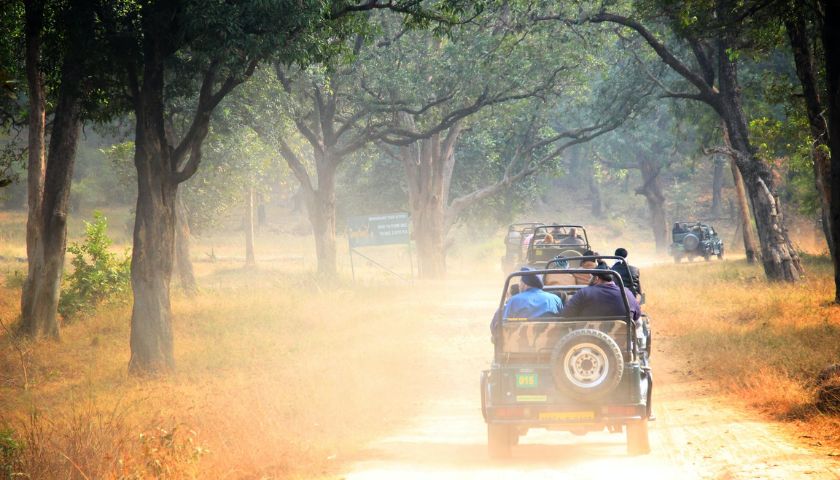 10 Best Wildlife Safaris in India