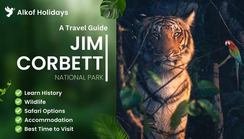 Jim Corbett National Park Travel Guide