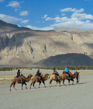 Ladakh Tours 2020 - 2021, Ladakh Tour Packages 2020 - 2021 - Alkof Holidays